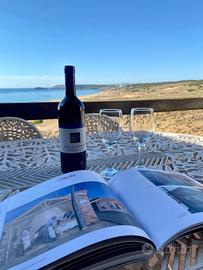 Torre dei corsari - Arbus -