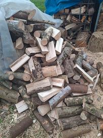 legna carpane e fagaro