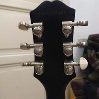 Ephiphone Les Paul custom prophecy