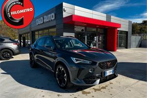 Cupra Formentor 2.0 TDI 4Drive DSG