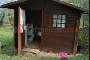 Terreno Agricolo Scandicci [TERRSCANDVRG]