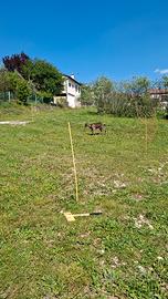 Capretti