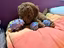 Immagine 4