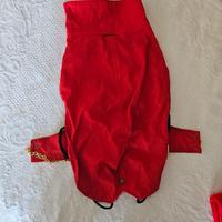 impermeabile per cani cm39