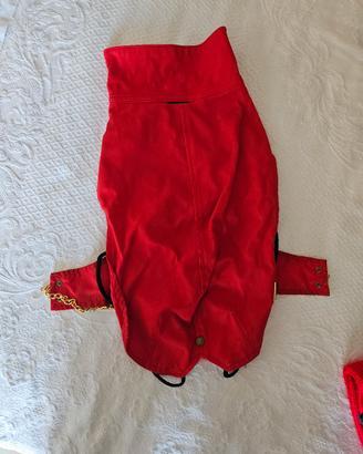 impermeabile per cani cm39