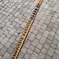 Valuto varie canne Daiwa old 8 e 9 metri. Leggi