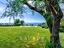 Immagine 10