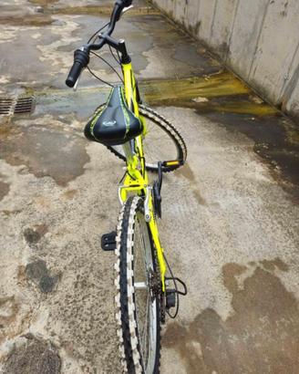 Bicicletta