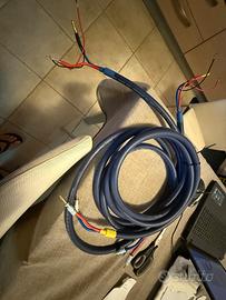 Speakers cable Vandamme blue series 2,50mt