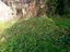Immagine 11