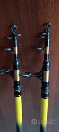 Canne beach legering feeder mare