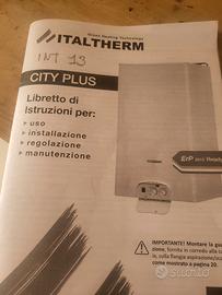 Caldaia metano 24kwp come nuova