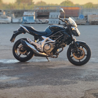 Suzuki Gladius 650
