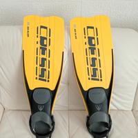 pinne crespi per immersione ara