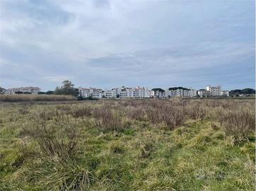 Terreno di 10000 m² a Cellole