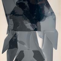 Grafiche portanumero Husqvarna Fs 450 (2019-2023) 