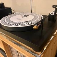 Giradischi Well Tempered + DPS