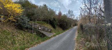 Terreno agricolo a Gerano (RM)