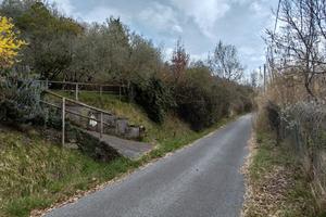 Terreno agricolo a Gerano (RM)