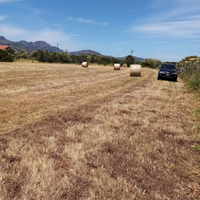 Terreno agricolo / casa ecc