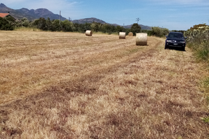 Terreno agricolo / casa ecc