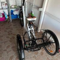 Triciclo elettrico