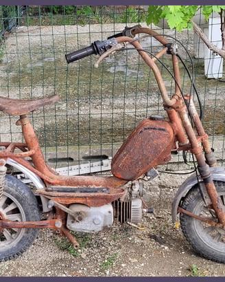 OMC Minicaliffo per restauro