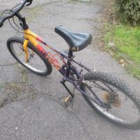 Mountain bike bambino 