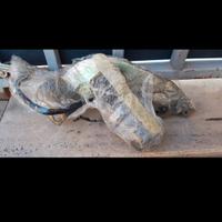 ricambi per 500 d'epoca 