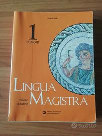 Lingua Magistra - Diotti- corso latino completo  