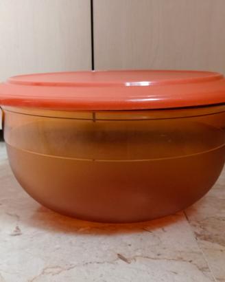 Ciotola Tupperware originale con sigillo