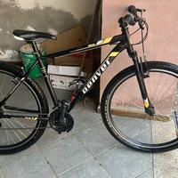 Denver phorest 29 m20