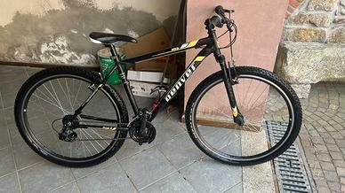 Denver phorest 29 m20