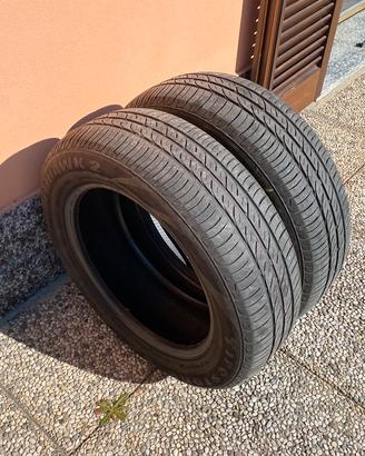 Coppia pneumatici estivi usati
