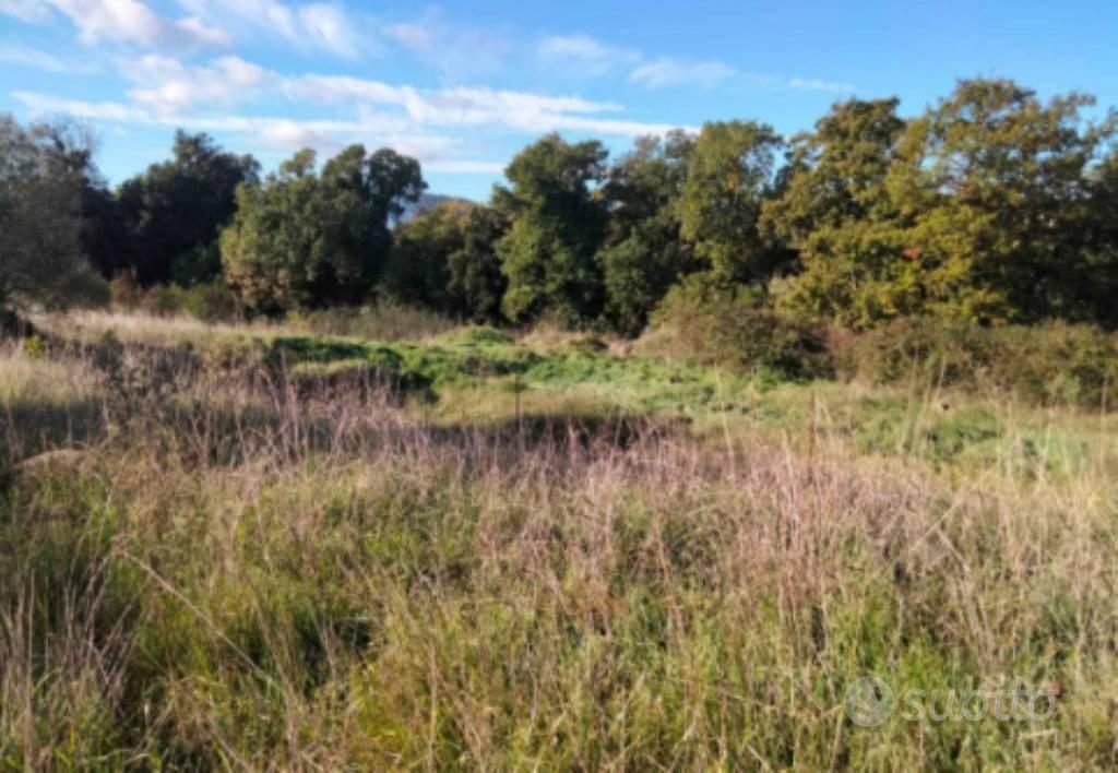 Immobile in asta di 13507 m² a Bracciano - Vista 4