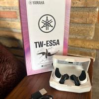Yamaha TW-ES5A