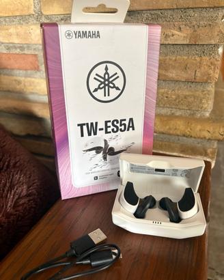 Yamaha TW-ES5A