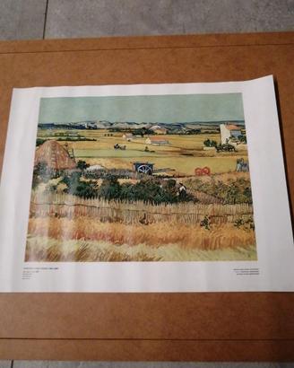 Stampa Vincent Van Gogh La Vendemmia