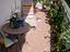 Immagine 6