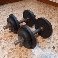 Kit Manubri Regolabili 20Kg per Bodybuilding