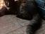Immagine 6