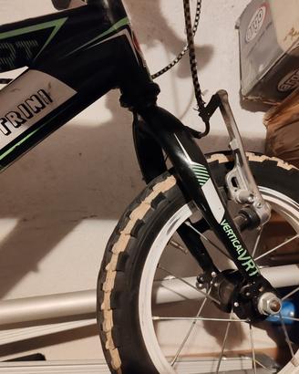 Bicicletta Silvestrini