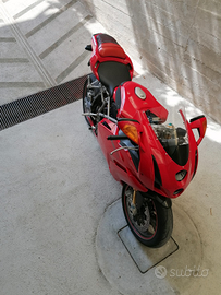 Ducati 999s 2004 termignoni