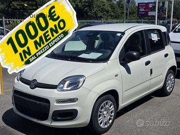FIAT Panda 1.0 FireFly 70cv S&S Hybrid Pandina
