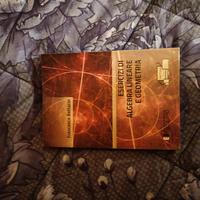 Esercizi di algebra lineare e geometria(Bottacin)