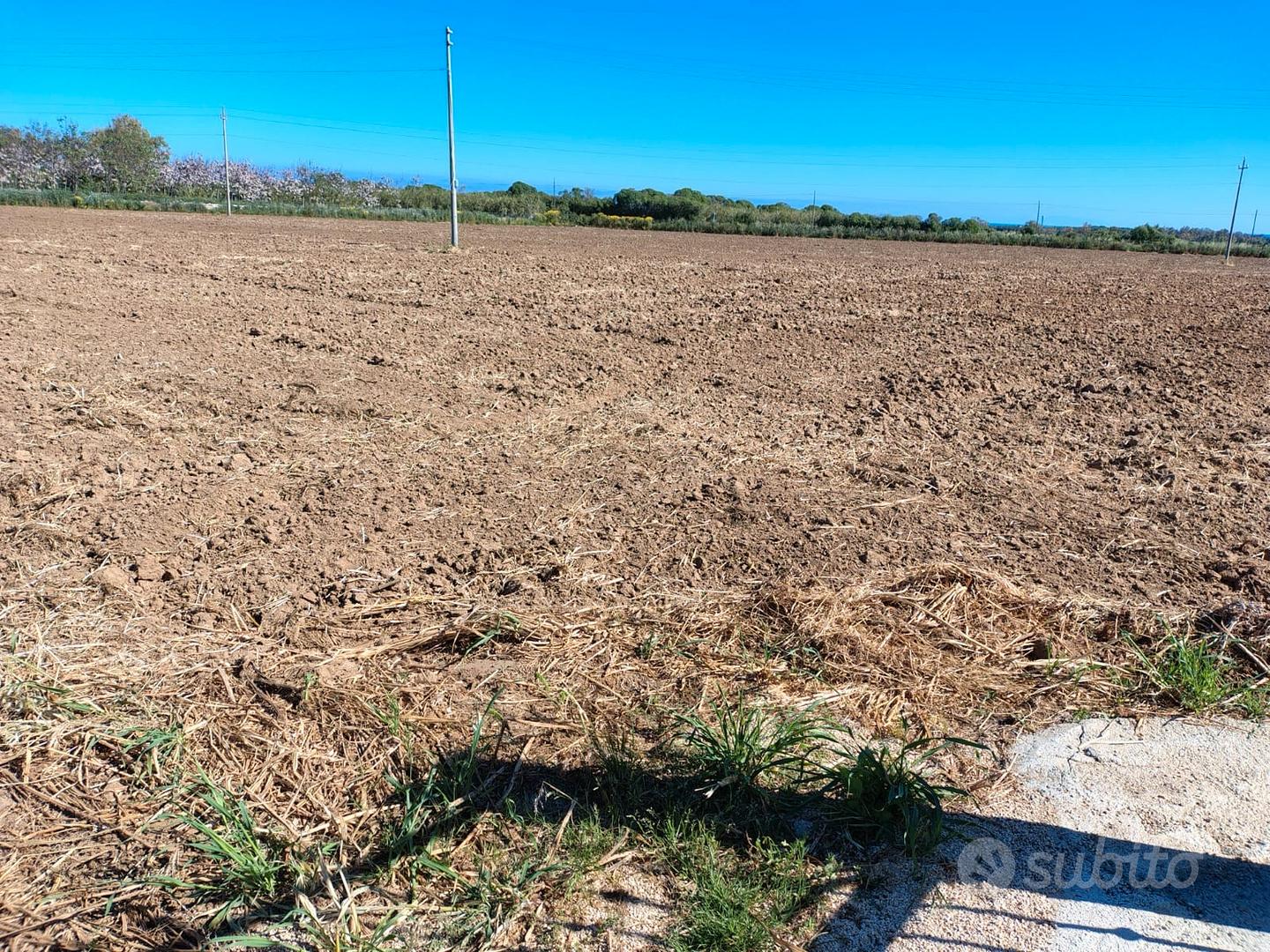 Terreno arato e fresato - Vista 5