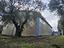 Immagine 15