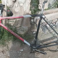 Telaio mtb acciaio 