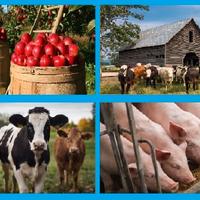 Addetto al bestiame, operaio agricolo