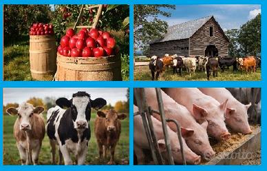 Addetto al bestiame, operaio agricolo